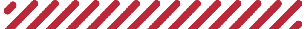 streifenV3_pkw_bg_grafik_1600px-1024x99